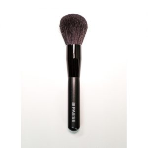PAESE BRUSH TO POWDER 2