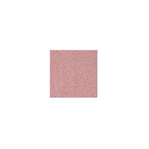 BLUSH ROUGE ILUMINATING/MATTE NO 41