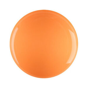 Paint Gel 17
