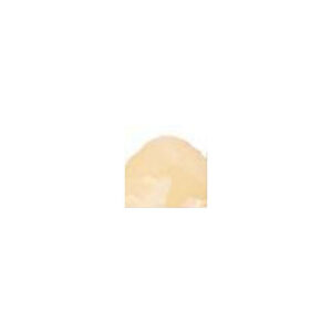 PAESE LIFTING FOUNDATION 101